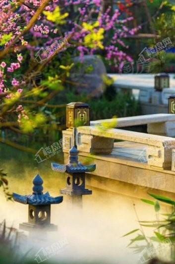 郑州恒大·养生谷实景图