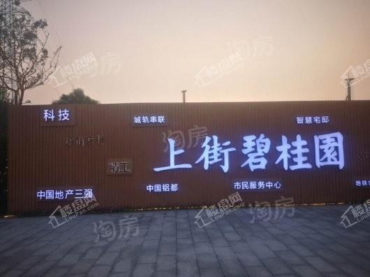 上街碧桂园实景图