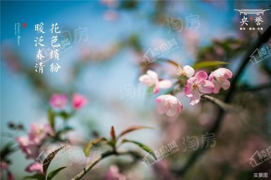 建发央誉效果图