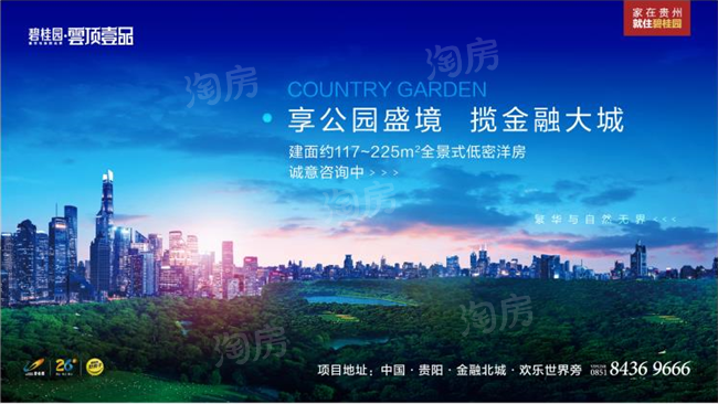 碧桂园·云顶壹品效果图