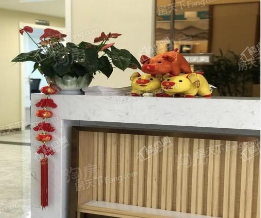 南德泊湖澜岸实景图