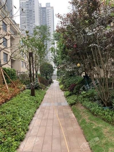 国盛天鹅墅实景图