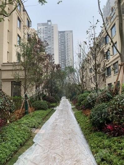 国盛天鹅墅实景图