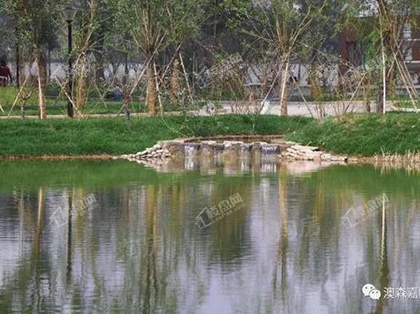 澳森嘉园实景图