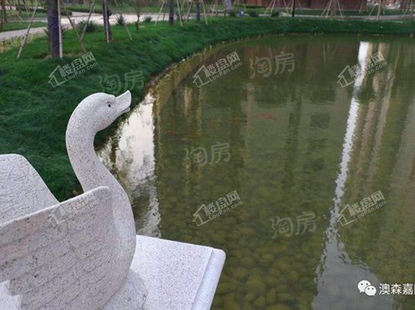 澳森嘉园实景图