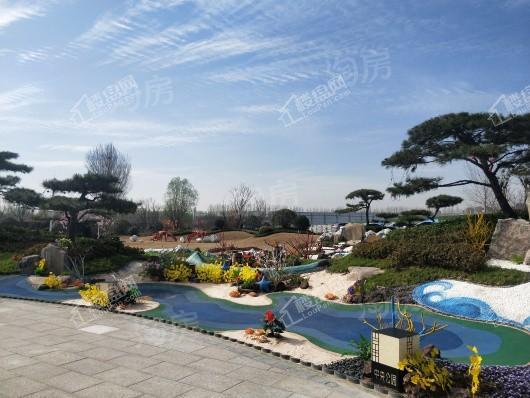 碧桂园中央公园实景图