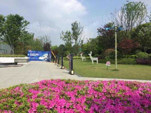 正荣·悦都荟实景图