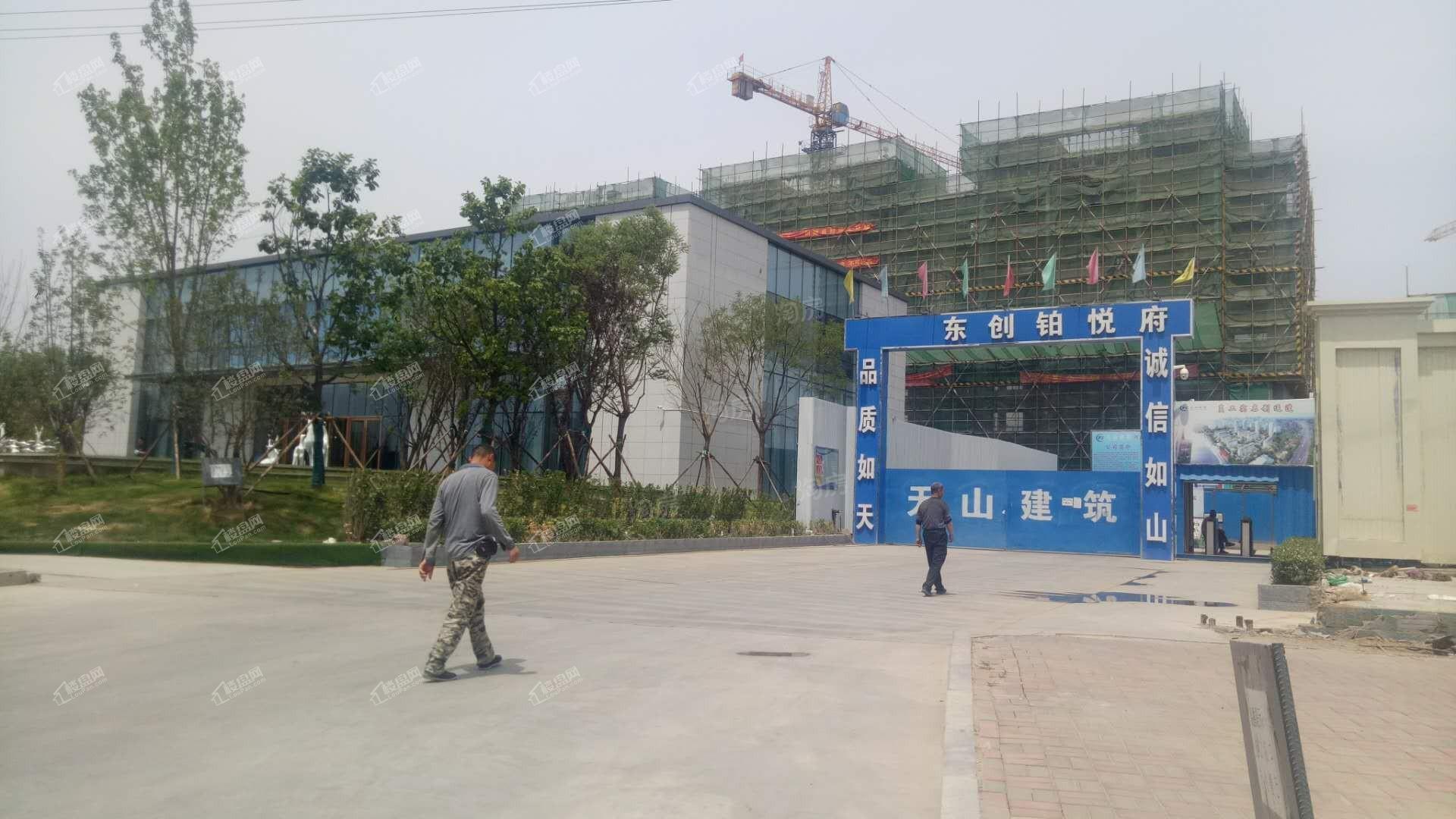 东创铂悦府实景图