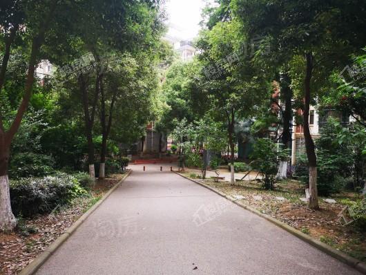 鼎鑫摩卡小镇四期实景图
