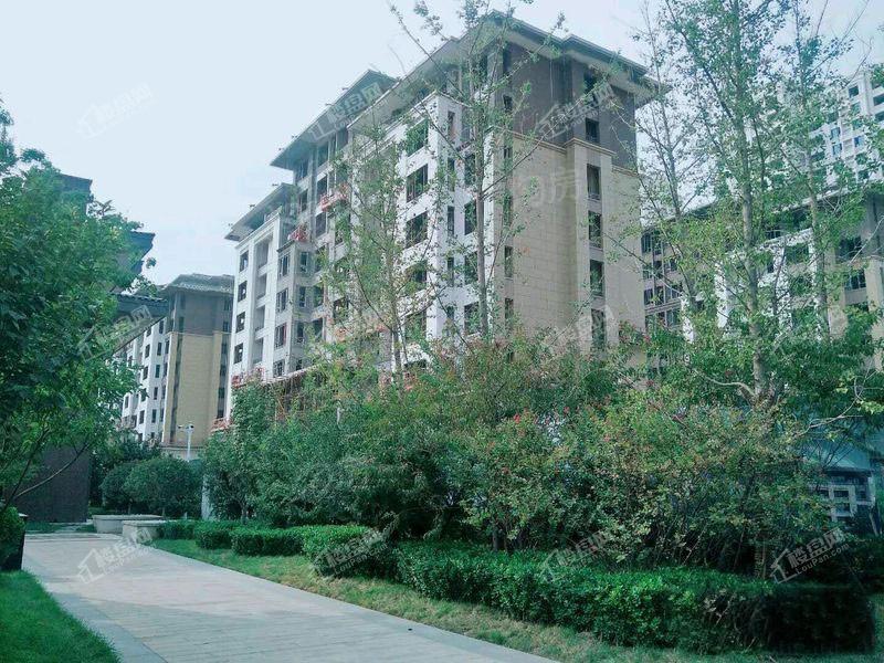 唐宫原著实景图