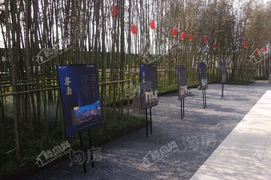 远洋山水赋实景图