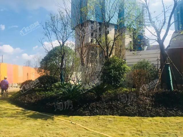 保利星河九洲实景图