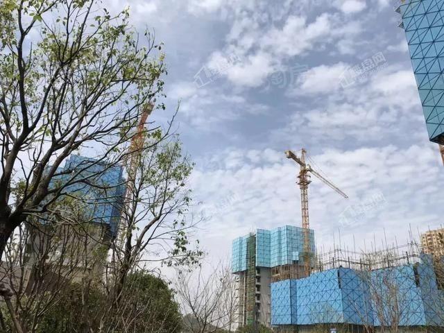 保利星河九洲实景图