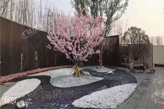 雅居乐·天域实景图