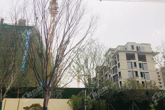 金科天籁城实景图