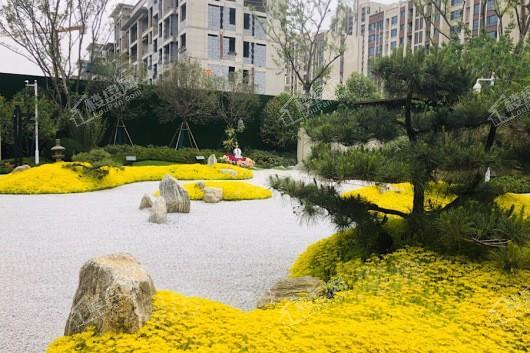 金科天籁城实景图