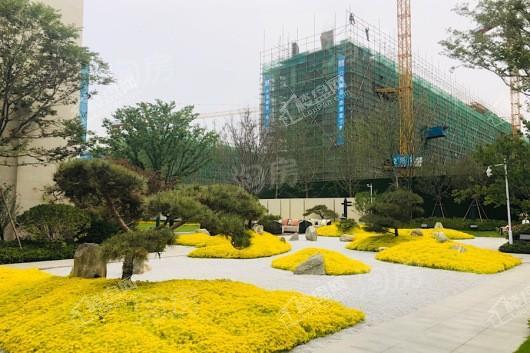 金科天籁城实景图