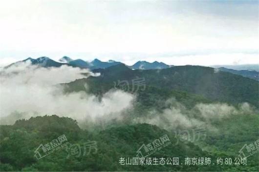 颐和九里配套图