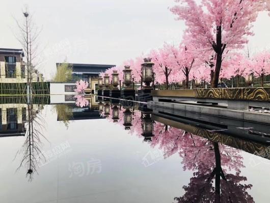 文一泰禾·合肥院子实景图