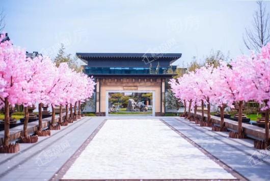 文一泰禾·合肥院子实景图