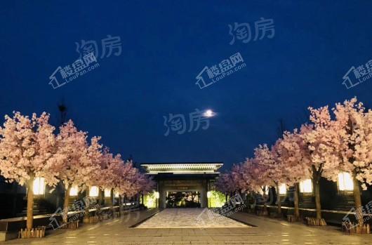 文一泰禾·合肥院子实景图