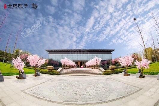 文一泰禾·合肥院子效果图