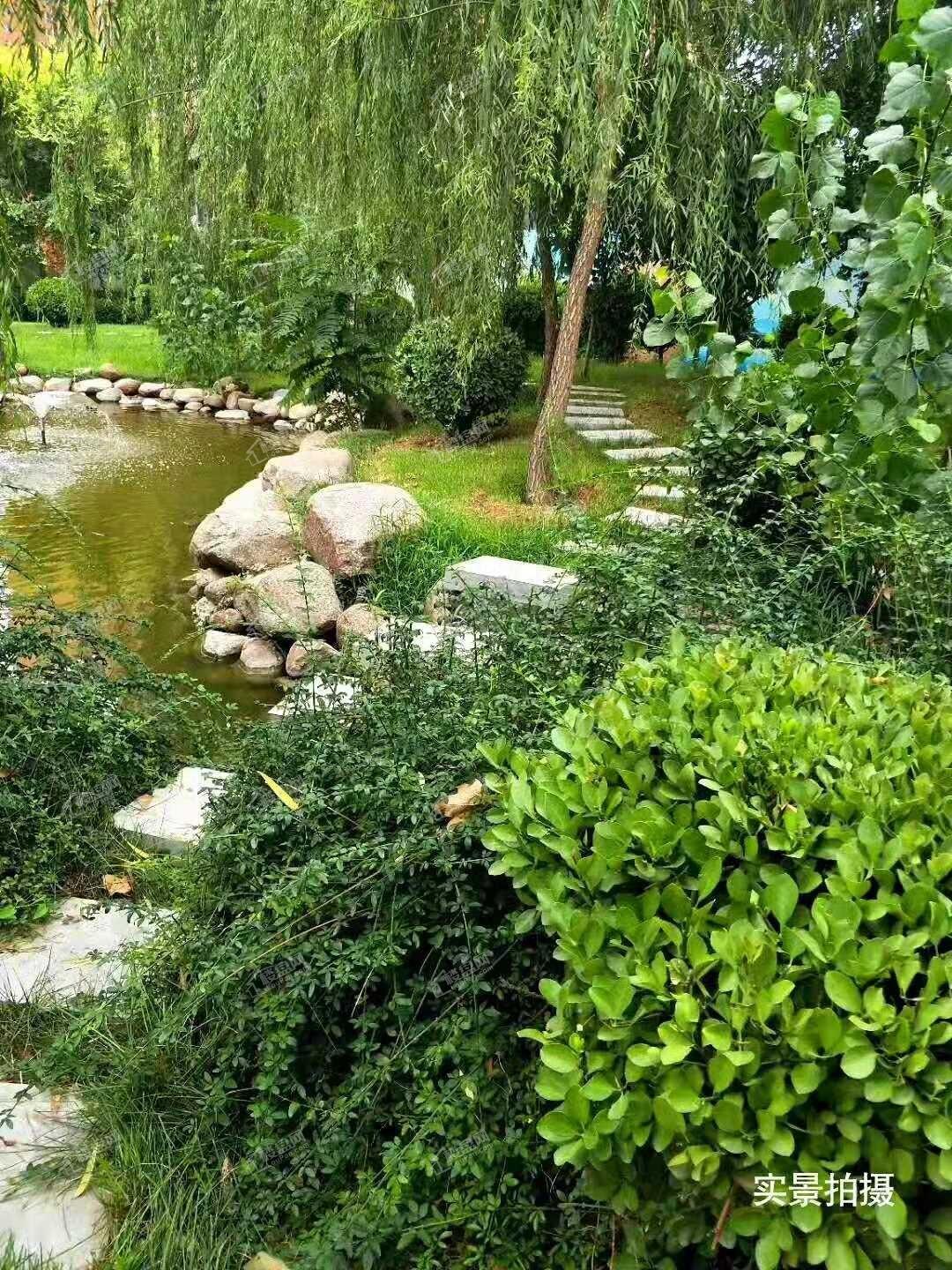 帝华御锦苑实景图