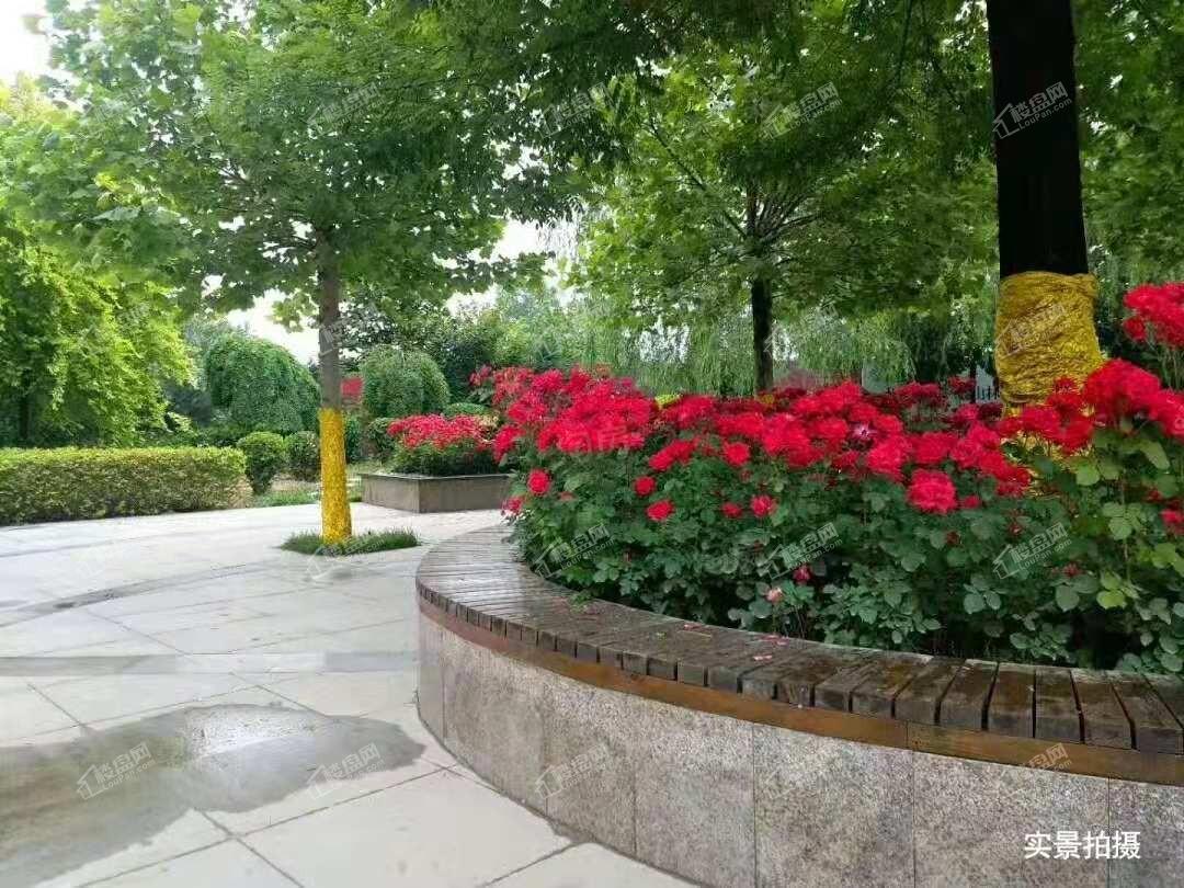 帝华御锦苑实景图