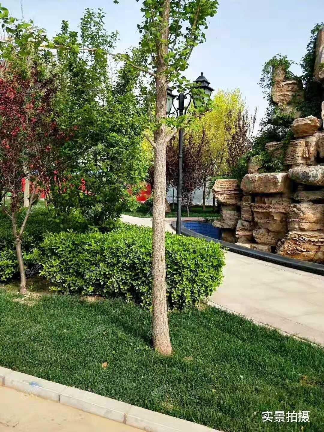 帝华御锦苑实景图