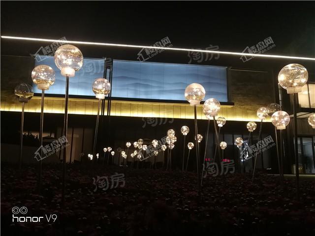 金辉崇文府实景图