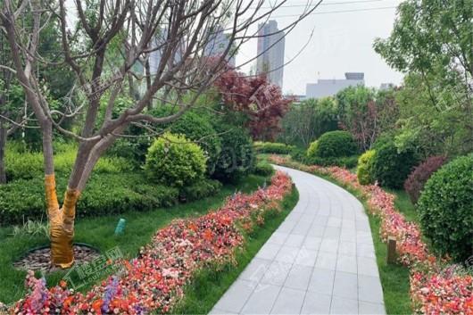 旭辉中睿府实景图