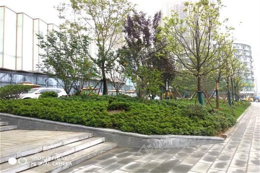 汉阳城二期云顶实景图