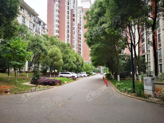 鼎鑫摩卡小镇四期实景图