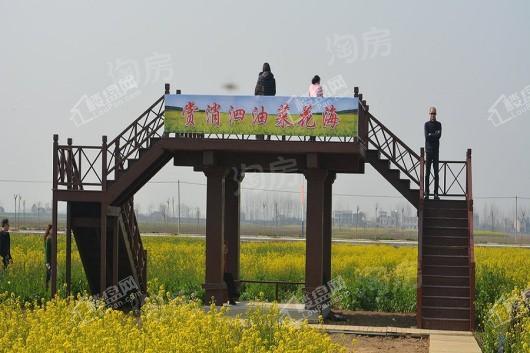 航城丽都实景图