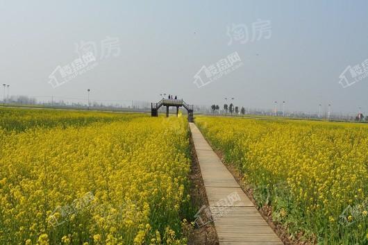 航城丽都实景图