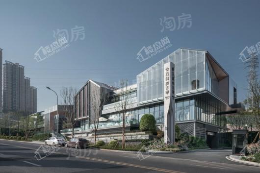 万科彩云湖实景图