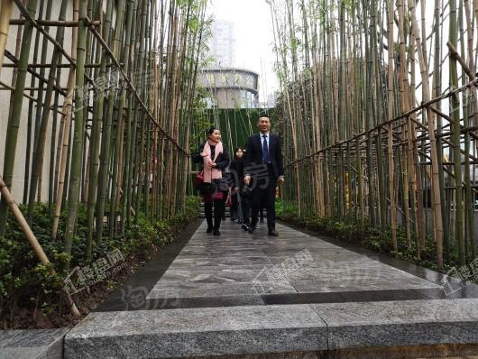 中建龙玺台实景图
