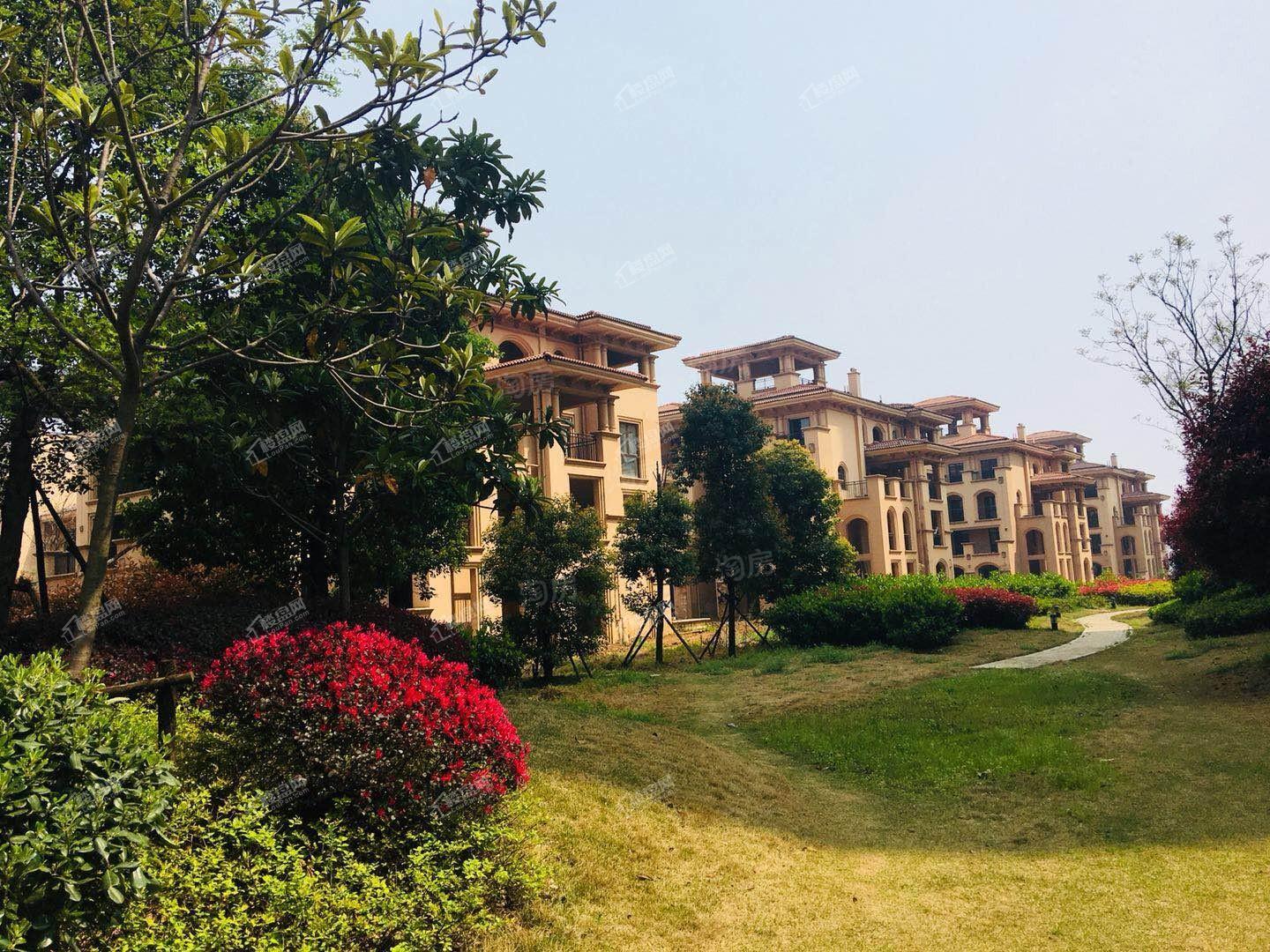 朗诗西海岸实景图