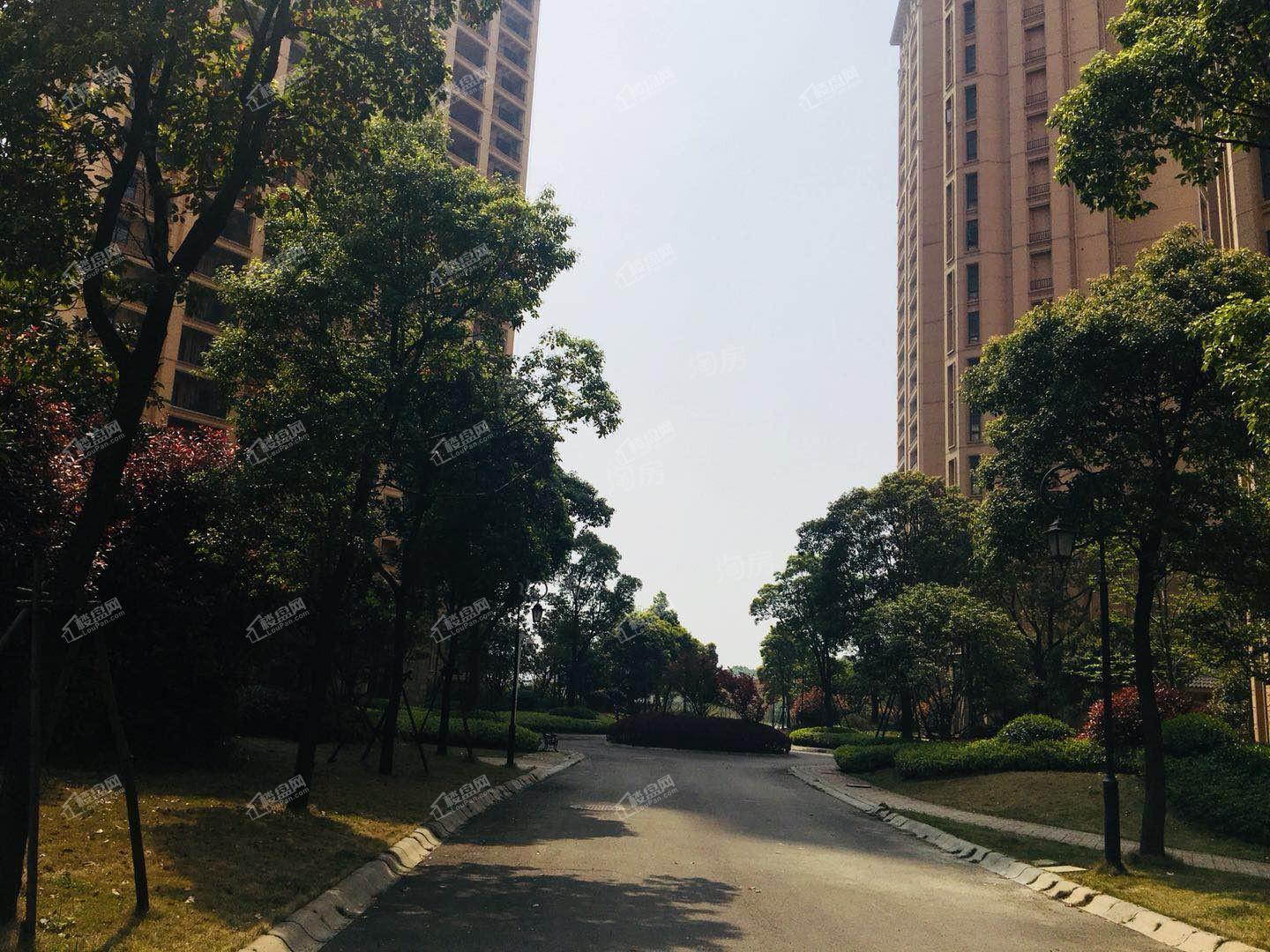 朗诗西海岸实景图