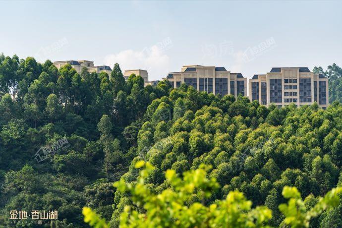 金地香山湖实景图