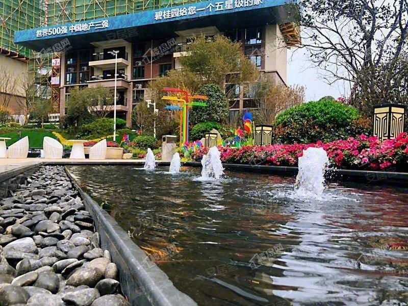 碧桂园荟隽棠实景图