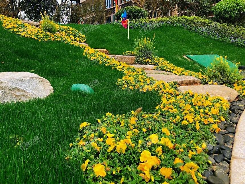 碧桂园荟隽棠实景图