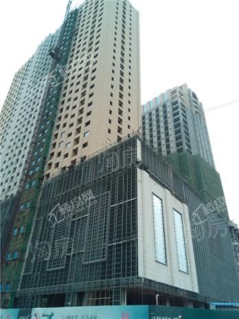 红枫金座实景图