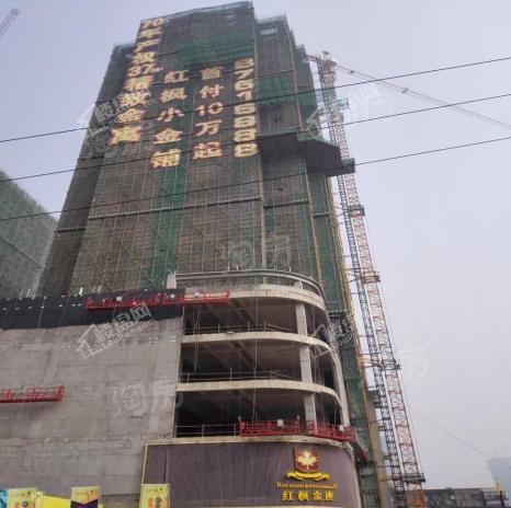 红枫金座实景图