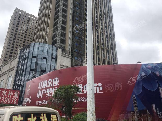 红枫金座实景图