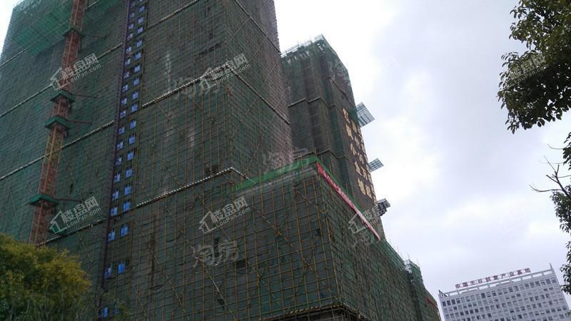 红枫金座实景图