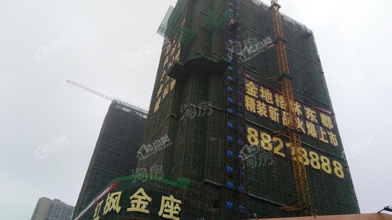 红枫金座实景图