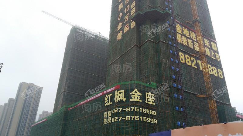 红枫金座实景图