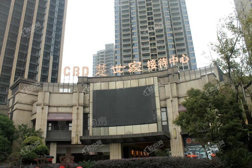 CBD楚世家实景图