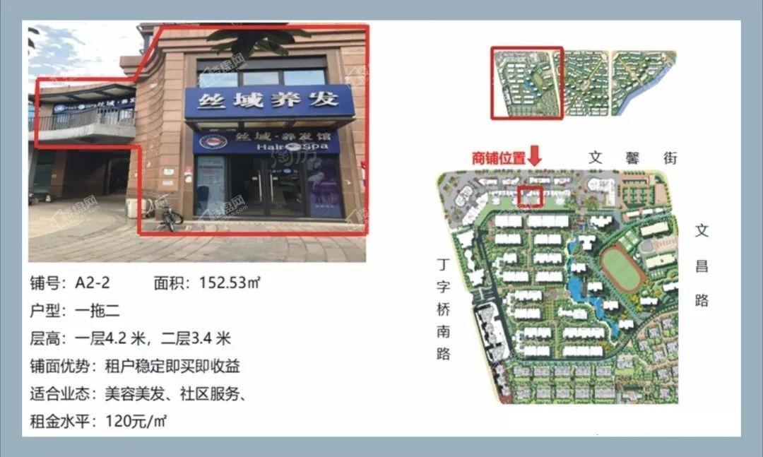 大华南湖公园世家商铺效果图